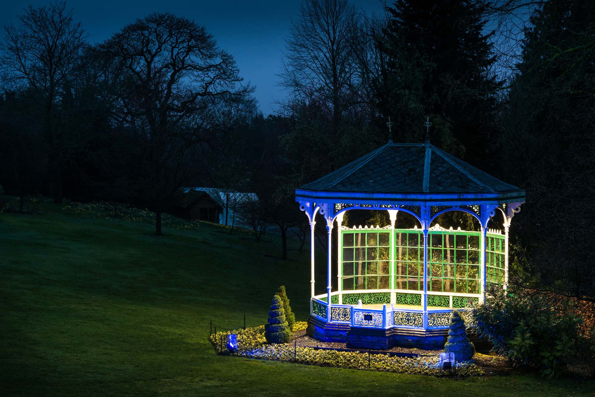 garden blue lights
